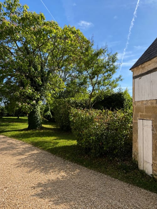 Allée de gravier bordée de haies et d'arbres centenaires au Château Alto Cormeil, Saint-Émilion