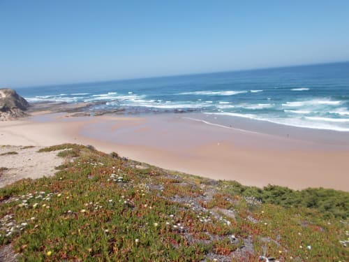 Clifftop coastal view of Casa Dourada villa in Aljezur with sandy beach, waves, and wildflower-covered hillside overlooking