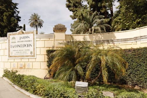 Entrada al Jardín Botánico Histórico La Concepción de Málaga con palmeras y muros de piedra