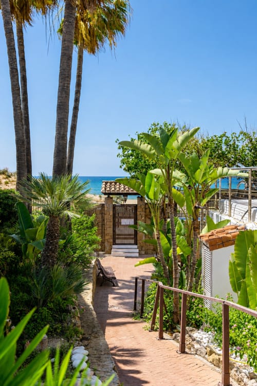 Camino frente al mar tropical con palmeras altas, plataneros y vistas al océano en cottage de Maui, BH Marbella