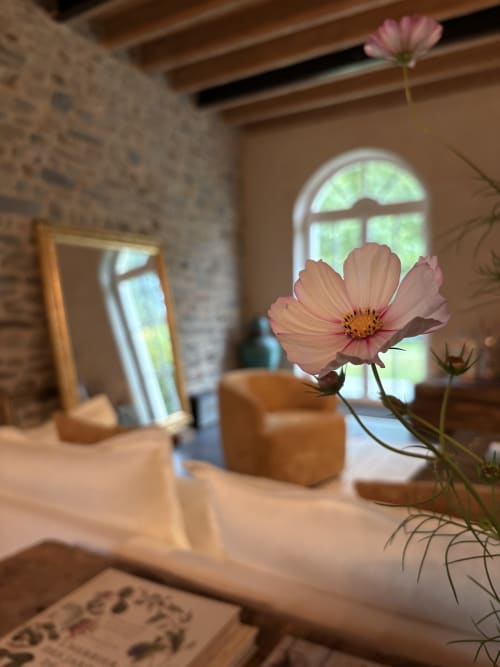 Fleurs de cosmos roses dans la chambre Les Hirondelles du Domaine du Tertre Ychot à Dol de Bretagne, avec fenêtre cintrée et pierre rustique