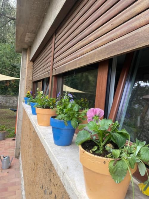Vasi di fiori colorati con fiori rosa ed erbe aromatiche sul davanzale dell'appartamento Il Giardinetto a Orvieto, Italia