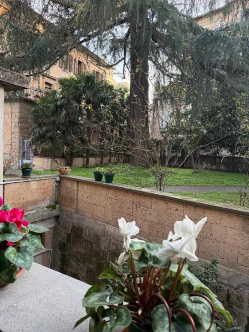 Vista del giardino terrazzato di Il Giardinetto di Elelú a Orvieto con piante fiorite e edifici storici