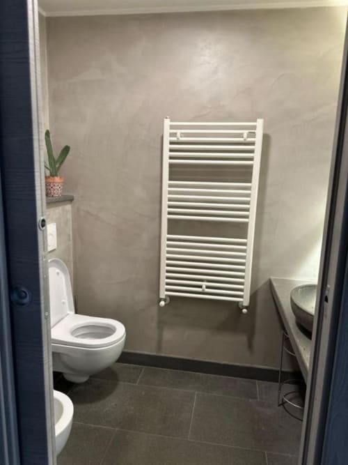 Bagno moderno della B&B di Orvieto con scaldasalviette riscaldato bianco, wc sospeso, pavimento in piastrelle scure e pianta di cactus in vaso