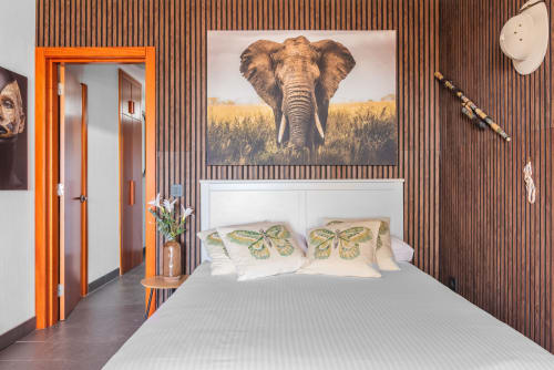 Dormitorio moderno con obra de arte de elefante, almohadas de mariposas, puerta naranja y pared de tablones de madera en apartamento de Gran Canaria