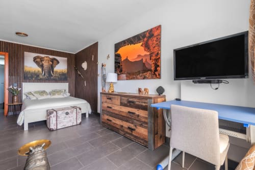 Dormitorio moderno en Home Stay Gran Canaria con arte temático safari, muebles de madera, televisión y espacio de trabajo contemporáneo