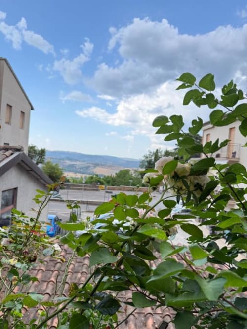 Piante rampicanti verdi incorniciano la vista del giardino sulla campagna di Orvieto, con appartamenti e cielo blu a Il Giardinetto di Elelú