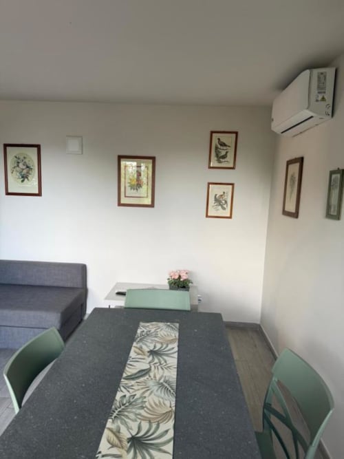 Zona pranzo moderna nell'appartamento di Orvieto con tavolo scuro, sedie verdi, arte botanica alle pareti, climatizzatore e divano.