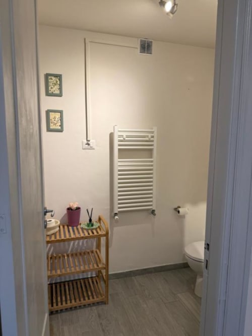 Bagno moderno nella struttura B&B di Orvieto con scaldasalviette bianco, scaffale in legno, piante in vaso e wc