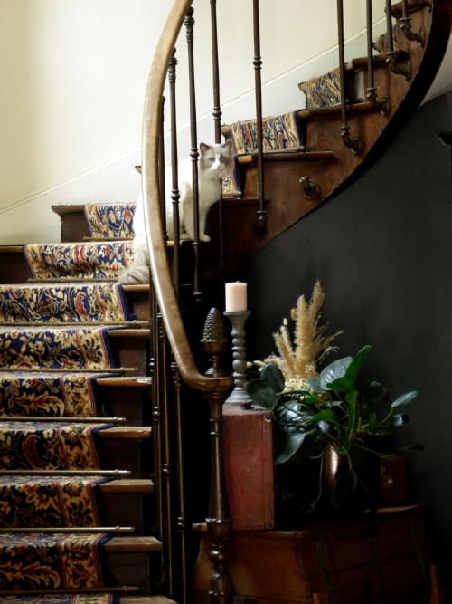 Cat on elegant wooden staircase with patterned runner at Les Rives De La Tronne hotel in Mer