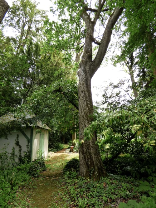 Lush garden pathway at Les Rives De La Tronne with mature tree and cottage in Mer, France