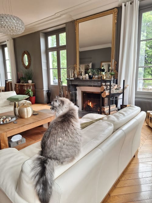 Chat gris perché sur un canapé crème dans un salon élégant avec cheminée, miroir et vue sur le jardin aux Rives de la Tronne,