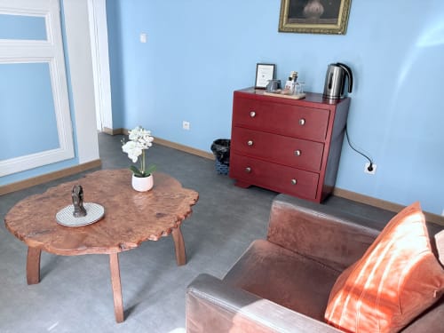 Salon Suite Camille Claudel au Richebourg Nogent avec murs bleus, table basse en bois, commode rouge et brun