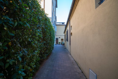 Stretto sentiero in mattoni tra muro ricoperto d'edera e edificio beige a Casa di Alfredo, Siena
