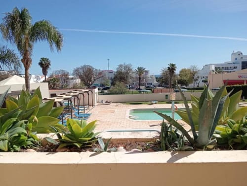 Piscina e terraço com suculentas no apartamento Albufeira Inn, Albufeira Portugal com vistas da cidade