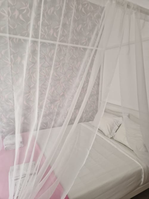 Sheer white bed canopy at Zuni Guest House Lisboa, with patterned curtain backing and pink bedding visible