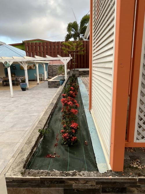 Allée du jardin de la Résidence B&L Lagon à Sainte-Luce avec fleurs rouges, pergola blanche et terrasse
