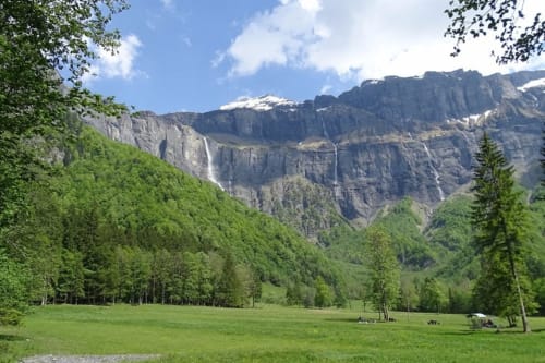 Alpine meadow with forest and waterfall cliffs at Hôtel Les Triolets in Châtel, France