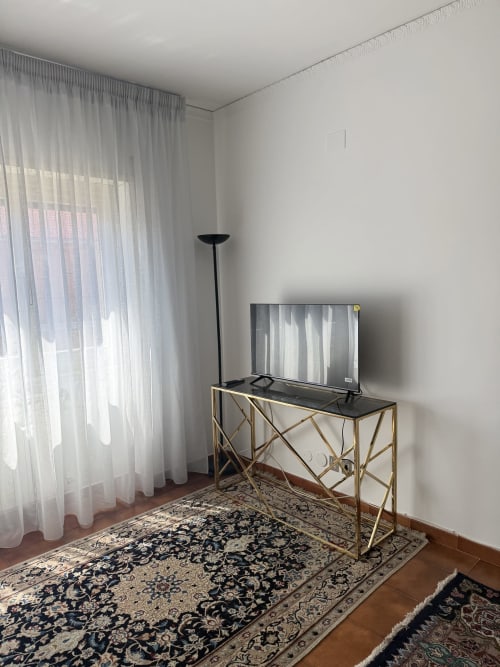 Modern apartment living area with flat-screen TV on brass console table, sheer curtains, ornamental rug, and floor lamp at