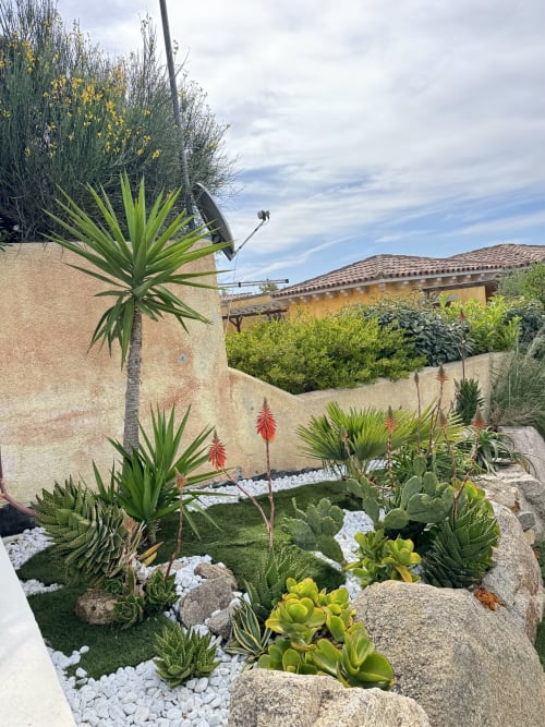 Giardino mediterraneo con piante grasse, fiori rossi e ghiaia bianca a Villa Carrie Porto Pozzo, Gallura