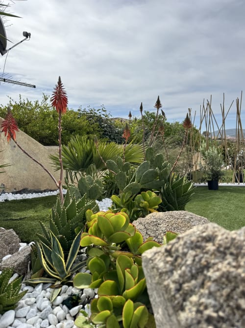 Giardino di piante grasse a Villa Carrie Porto Pozzo con fioriture rosse e cactus che si affacciano sulla Gallura