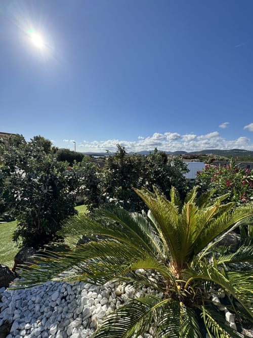 Rigoglioso giardino tropicale a Villa Carrie Porto Pozzo con palme, vista mare e paesaggio mediterraneo sotto cielo azzurro