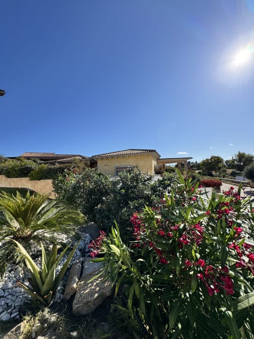 Giardino di Villa Carrie Porto Pozzo con fiori rossi, palme e villa mediterranea gialla sotto cielo azzurro