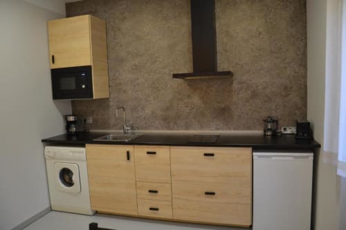 Cocina moderna con gabinetes de madera, encimera negra y electrodomésticos de acero inoxidable en apartamento Apartamentos RJ26 León
