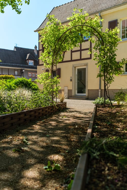 Encantadora casa de entramado de madera amarilla con entrada de pérgola cubierta de hiedra en Les Ambrades, Kaysersberg Vignoble