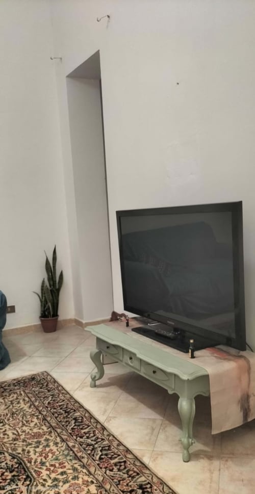 Soggiorno della Mappamondi B&B Venice con TV a schermo piatto, consolle verde salvia, pianta in vaso e tappeto decorativo