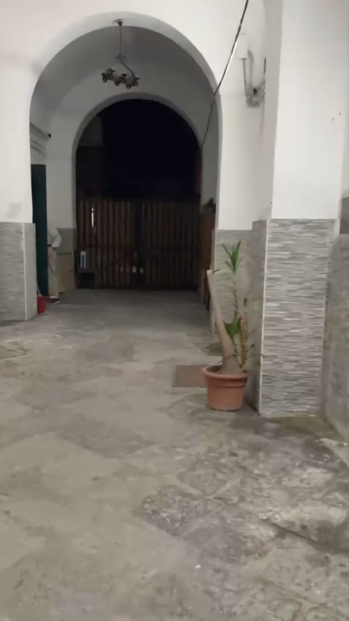 Ingresso ad arco della camera del Mappamondi B&B a Venezia con porte in legno e pianta in vaso
