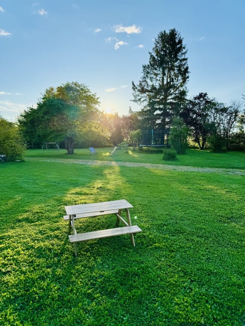 Jardin ensoleillé de la villa Maison Héléna à Lain avec table de pique-nique, pelouse verdoyante et équipements de loisirs