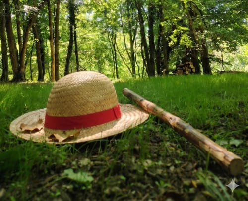 Cappello di paglia con nastro rosso e bastone di legno sull'erba di Agriturismo Cà Fenile, ritirata di campagna a Alzano Lombardo