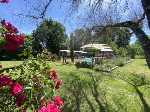 Baccara Lodge garden with magenta roses, swimming pool, umbrellas, and trees in Arengosse