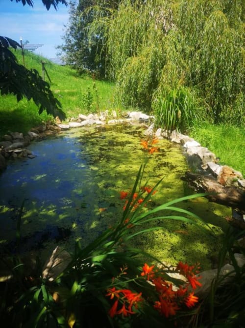Tranquil pond with goldfish and red flowers at Posada Torre del Milano in Comillas, Spain