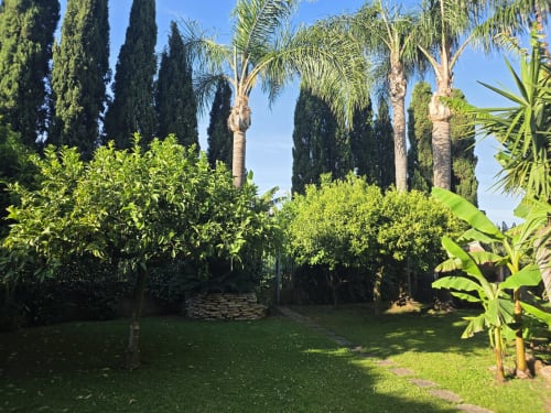 Giardino lussureggiante con cipressi e palme presso il B&B Villargentina a San Felice Circeo