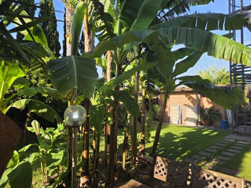 Lussureggianti piante di banano nel giardino di Villargentina B&B, San Felice Circeo, con edificio in laterizio e prato