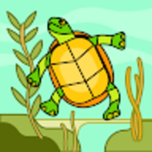 Tortue de dessin animé dans un cadre naturel près d'Au Richebourg Nogent, Nogent-sur-Seine