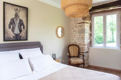 Suite élégante à La Demeure du Comte avec vue sur le jardin, lit blanc, cheminée en pierre et décoration zèbre