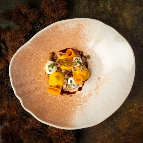 Assiette élégante du Hôtel Restaurant Le S'Y à Seingbouse avec carottes, protéine et microgermes sur assiette blanche texturée