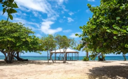 Plage tropicale de Maly Blue au Moule : sable fin, kiosque en bois, eau turquoise et végétation luxuriante