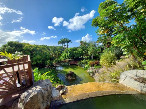 Jardin tropical au Maly Blue Location à Le Moule, Guadeloupe, avec végétation luxuriante, terrasse en bois et bassin paisible