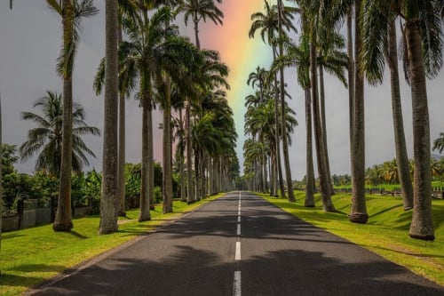 Allée bordée de palmiers de l'hôtel Maly Blue Location au Moule, Guadeloupe, avec pelouses entretenues et ciel dramatique