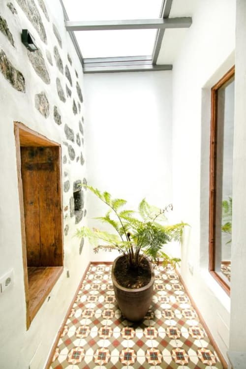 Pasillo luminoso en Casa 1820 con claraboya, planta de helecho, piso de azulejos geométricos y puertas de madera