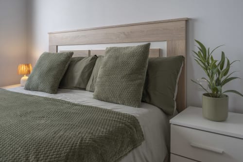 Acogedora habitación en el hotel Studios Sanchis de Alicante con cabecero de madera natural, ropa de cama verde salvia, planta en maceta y mesita de noche