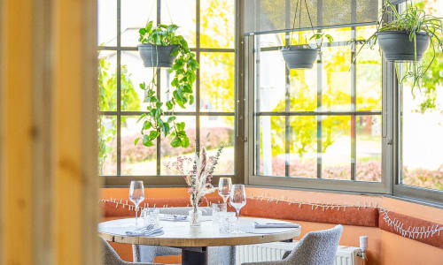 Bright dining area at Hôtel Restaurant Le S'Y with hanging plants, window seating, and elegant table setup overlooking garden