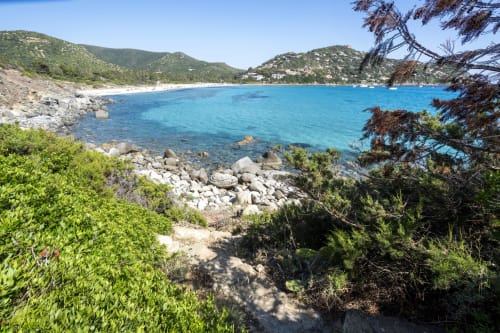 Caletta turchese del Mediterraneo con costa rocciosa e pini presso Top Villas Sardegna