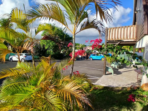 Ti Village Créole garden view in Sainte-Anne with palm trees, vibrant bougainvillea flowers, and parking area