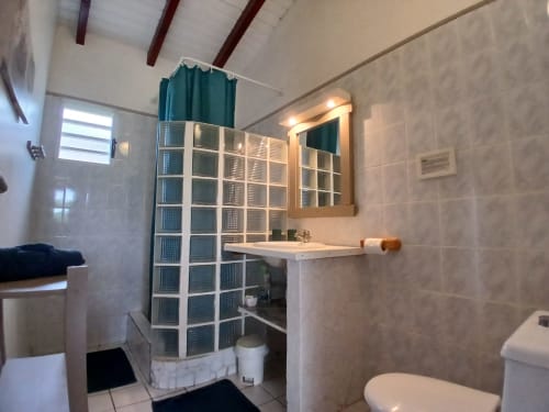 Modern bathroom in Ti Village Créole bungalow, Sainte-Anne, featuring glass block shower enclosure, white sink, and heated