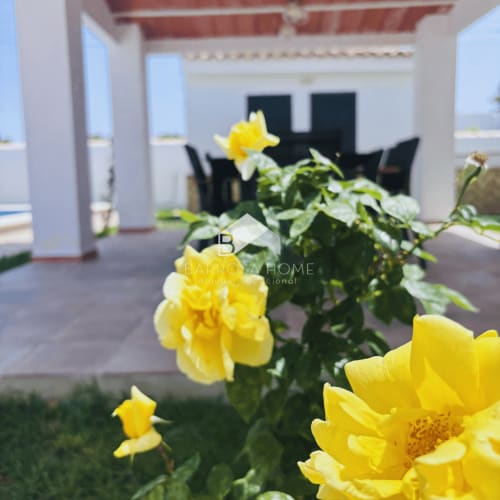 Flores amarillas en el jardín privado de la villa Barrosa Home con terraza y vista al mar en Hozanejos